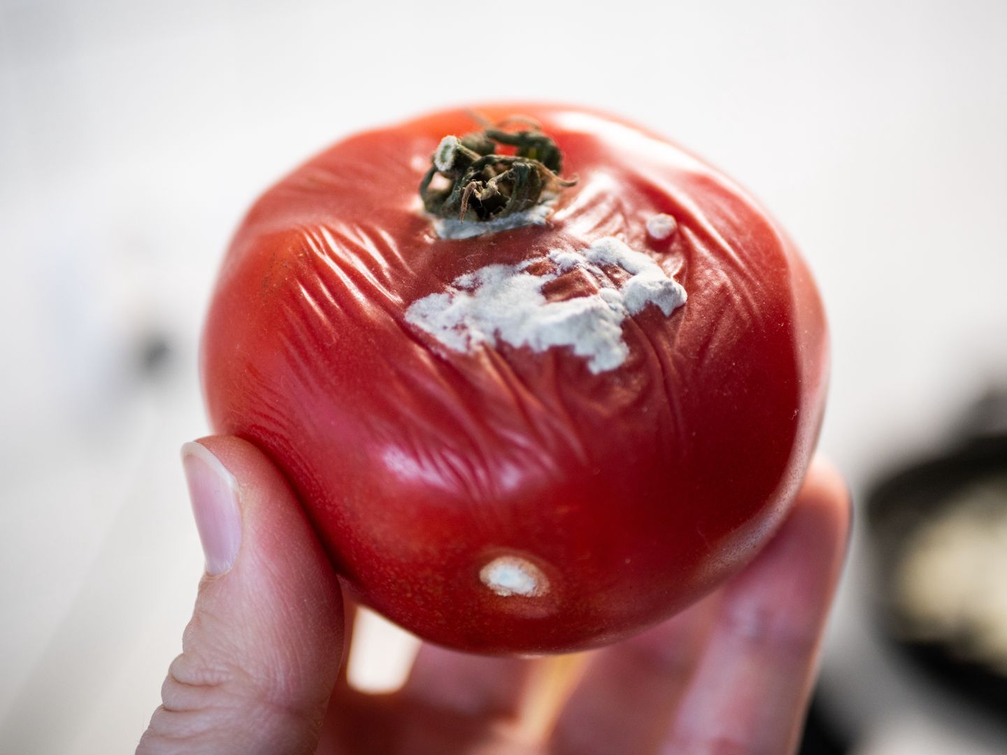 Nie wyrzucaj spleśniałego pomidora. Tak możesz go wykorzystać