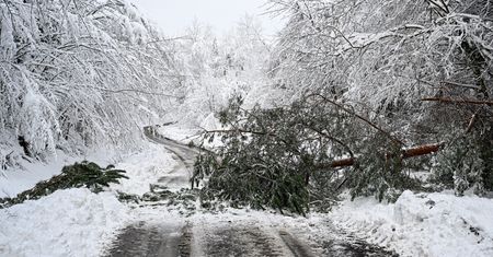 Śnieżny armagedon. Ludzie odcięci od świata