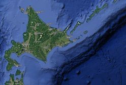 Trzęsienie ziemi w Japonii. Silne wstrząsy na Hokkaido