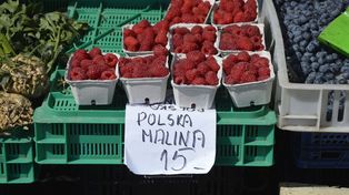 Targowisko Miejskie w Stargardzie: Ceny warzyw i owoców ustabilizowane