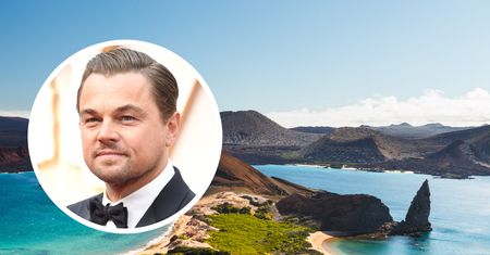 Leonardo DiCaprio nie żałuje pieniędzy. Wyda 43 mln dolarów