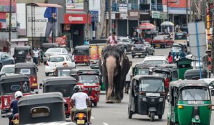 Tragedia na Sri Lance. Zmarły dwie turystki z Europy