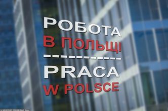 Cudzoziemcy skorzystają na Polskim Ładzie. Zapłacą niższy PIT niż Polacy