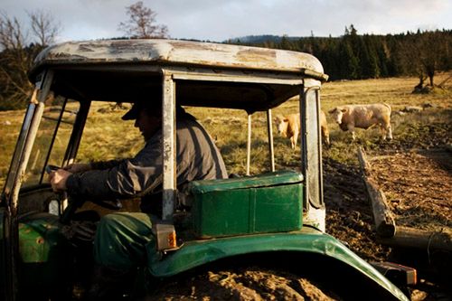 Dyscyplina kadru, czyli jak zrobić "czyste" zdjęcie - cz. II 2