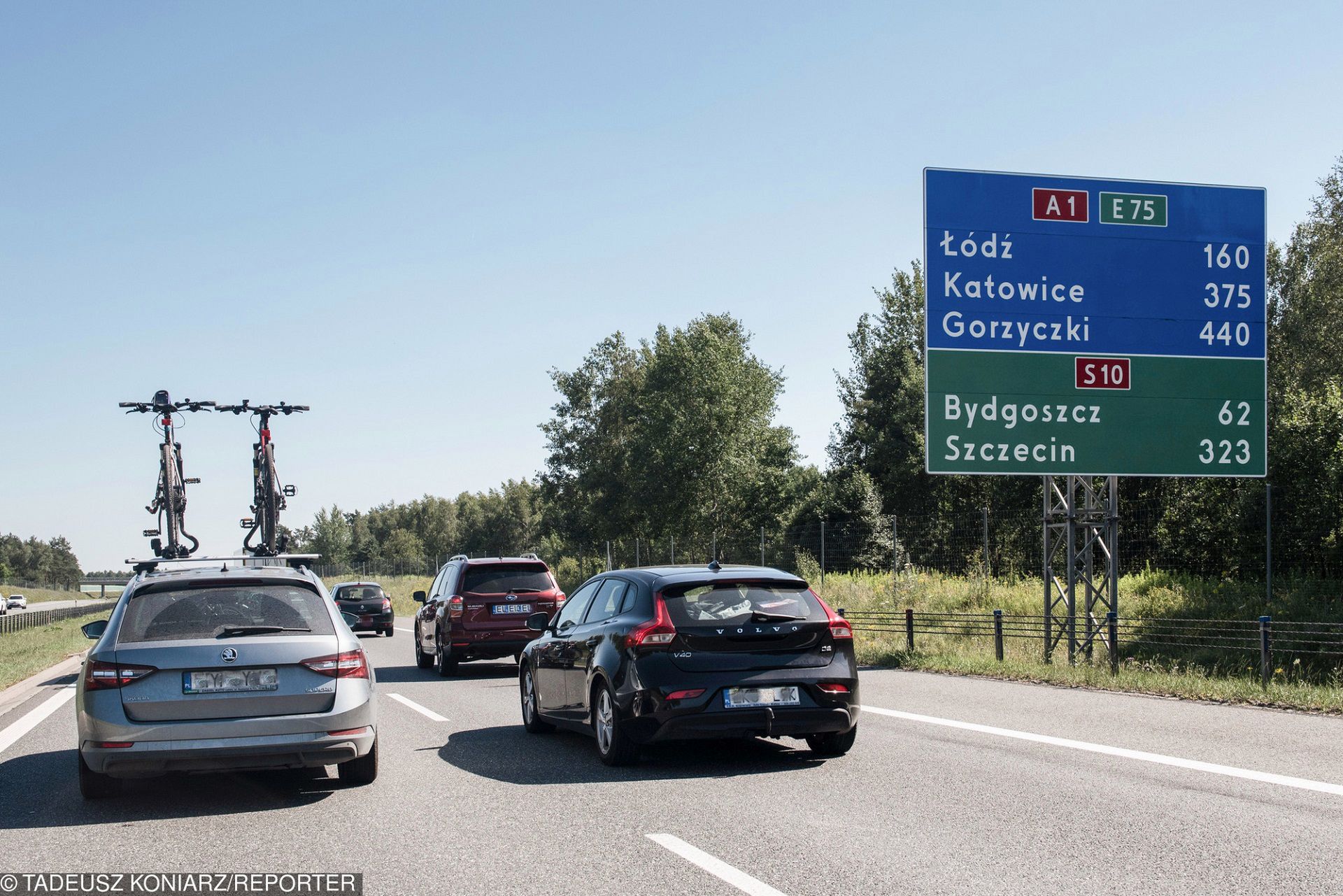 (fot. Tadeusz Koniarz/Reporter)