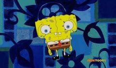 Dwa kanały po polsku dostały koncesję w Czechach