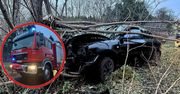 Groźny wypadek w Nadolniku! Auto wylądowało na drzewie po szalonym wyprzedzaniu