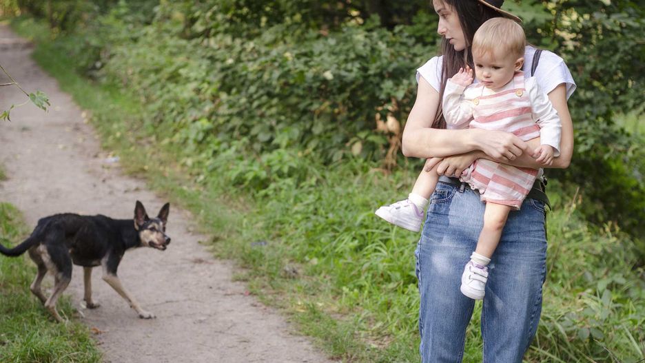 Zachowuj spokój i kontrolę nad swoim psem, aby niepotrzebnie nie narażać osób z lękiem na dodatkowy stres