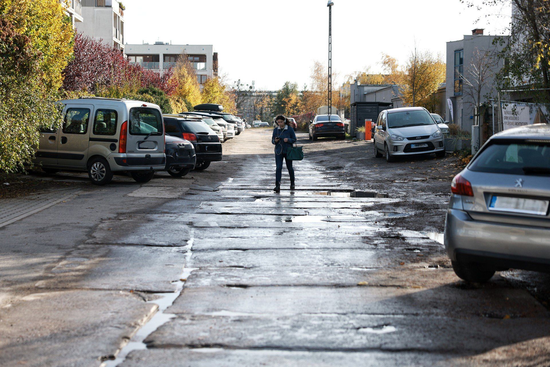 Ulica Budziszyńska w Poznaniu