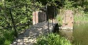 Młode zwierzaki też mają mamy. Nadleśnictwo Włoszakowice o spotkanych w lesie zwierzętach