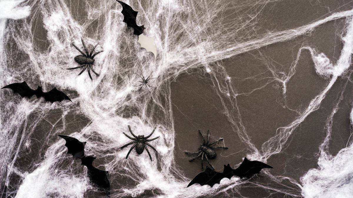 Jak zrobić sztuczną pajęczynę?