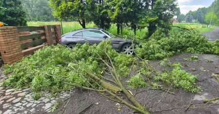 Superkomórki nad Wielkopolską. Zerwane dachy, setki zgłoszeń
