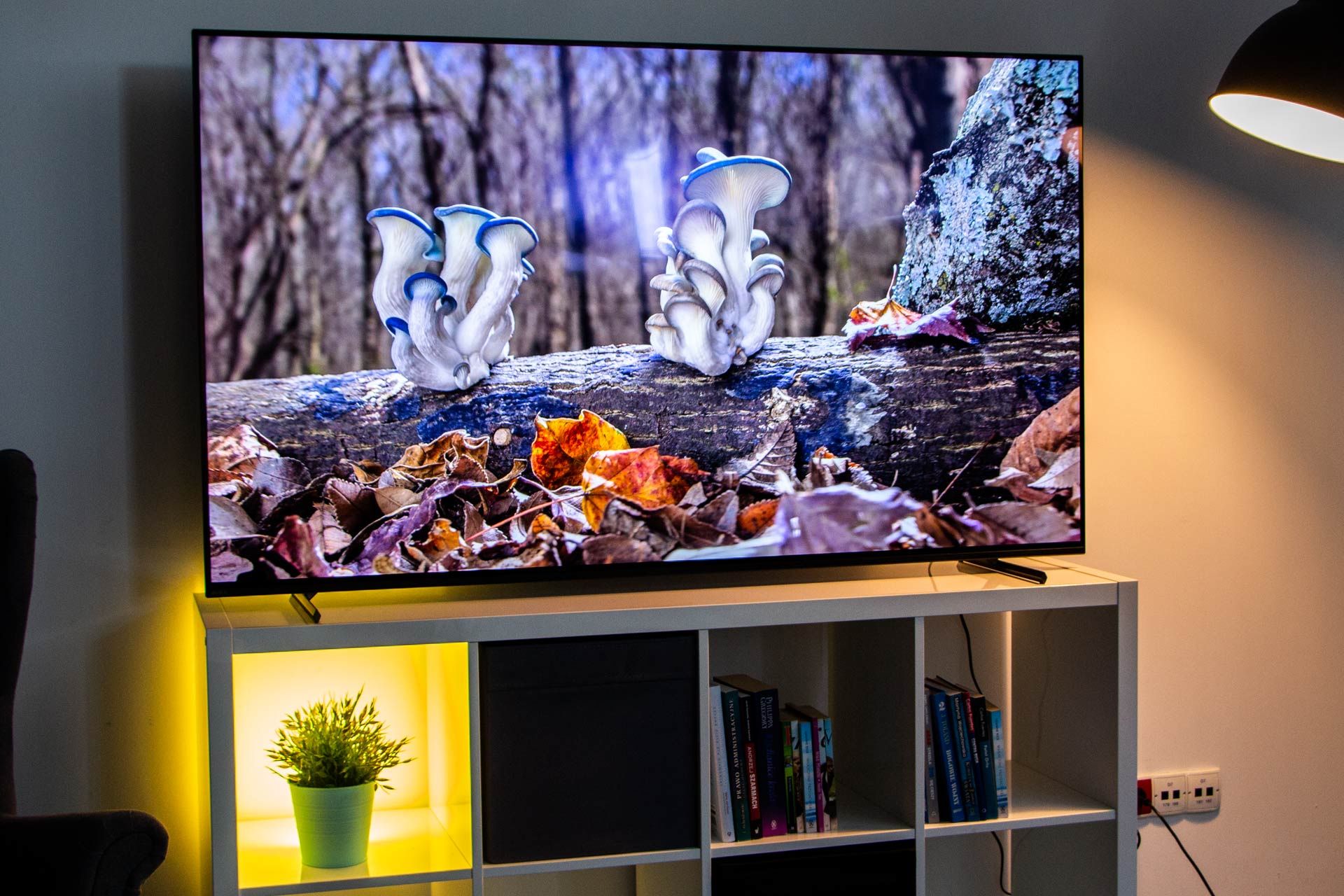 Sony BRAVIA XR-65A80L - z profilu