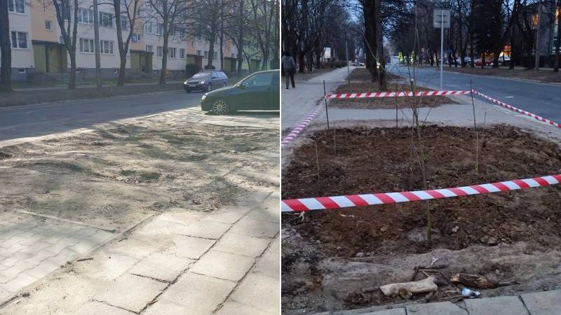 Dziki parking przed szpitalem zamieniony w zieleniec