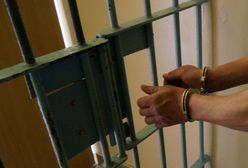 Dąbrowa Górnicza. Wyrwał się policjantowi, zabrał mu broń. Grozi mu surowy wyrok