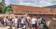 Wrocław. Rekordowe zainteresowanie ogrodem zoologicznym