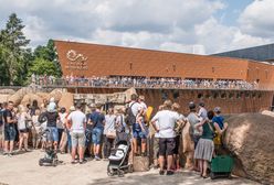 Wrocław. Rekordowe zainteresowanie ogrodem zoologicznym