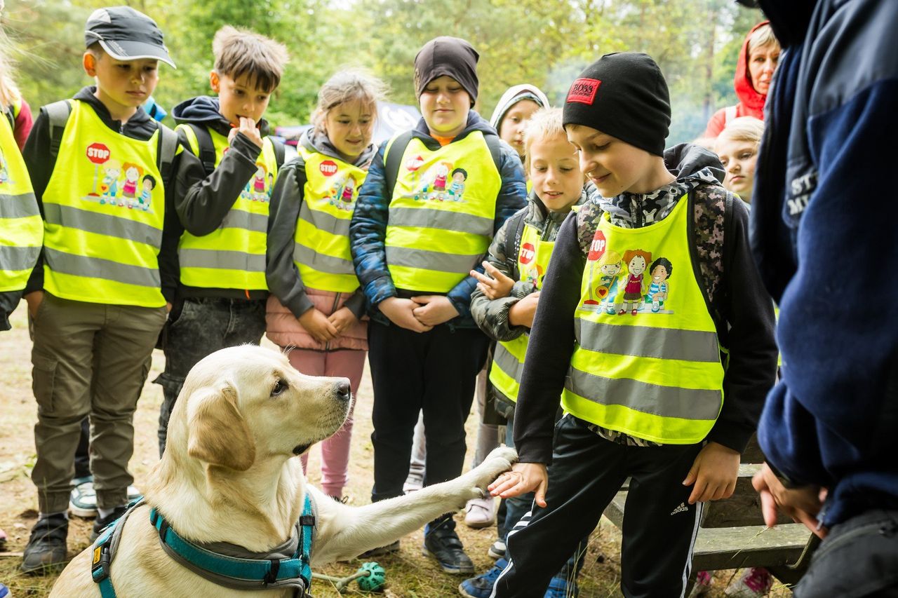 Jak zadbać o bezpieczeństwo w czasie wakacji? Straż Miejska w Bydgoszczy zaprosiła dzieci i młodzież na edukacyjne spotkania
