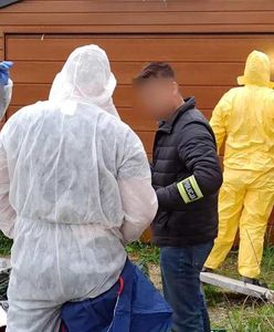 Tragedia w Katowicach. Nowe informacje ws. śmierci 11-latka