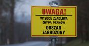 Podkarpacie. Powrót ptasiej grypy. Wykryto cztery ogniska choroby