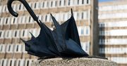 Tylko nieliczni wiedzą, gdzie wyrzucić zepsuty parasol. Pojemnik sam podsuwa się pod nos
