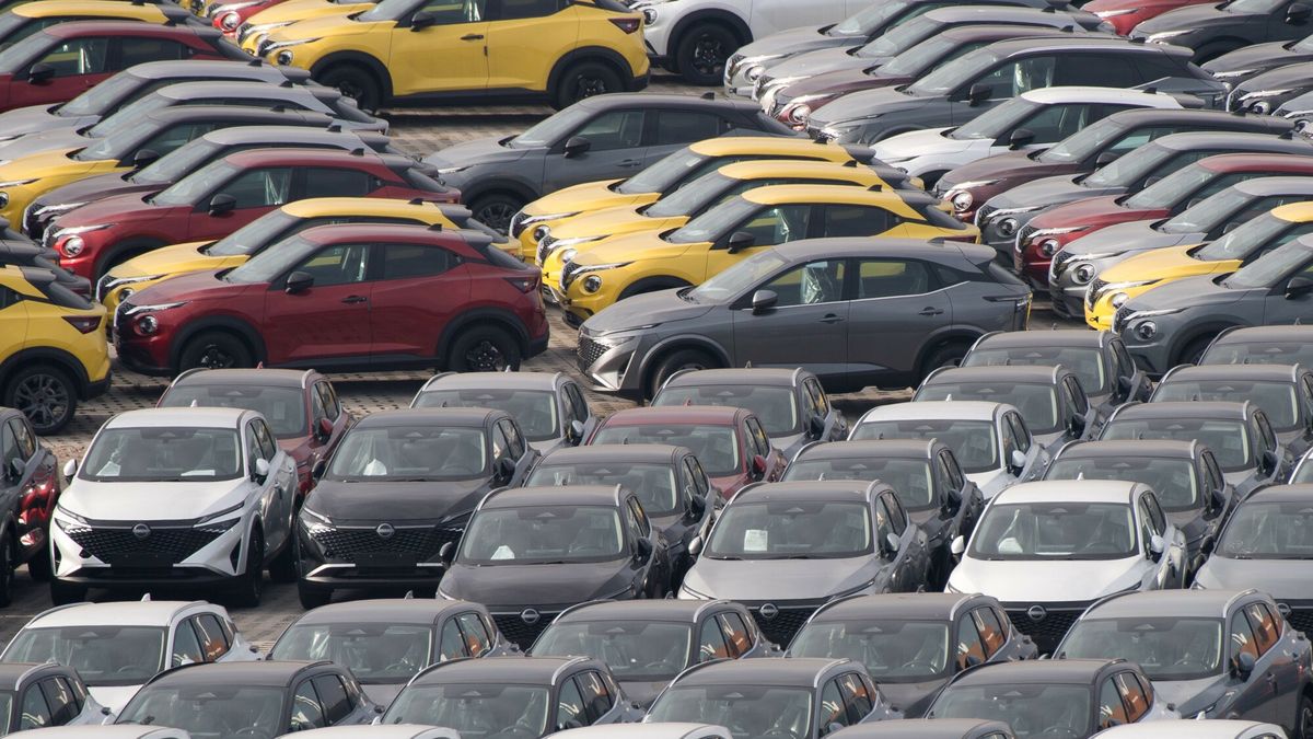 Reporter archiwum 2025 02
13.02.2025 Gdansk Port Gdanski Wolny Obszar Celny WOC Plac skladowyFot. Wojciech Strozyk/REPORTER
Wojciech Strozyk/REPORTER