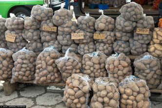 Rolnicy załamani. Worki ziemniaków zalegają w magazynach