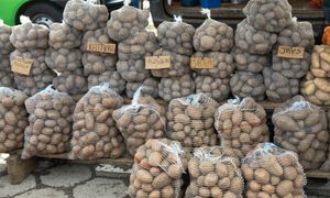 Rolnicy załamani. Worki ziemniaków zalegają w magazynach