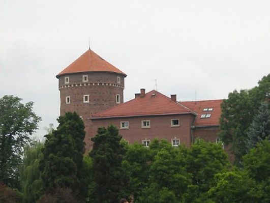 Obraz