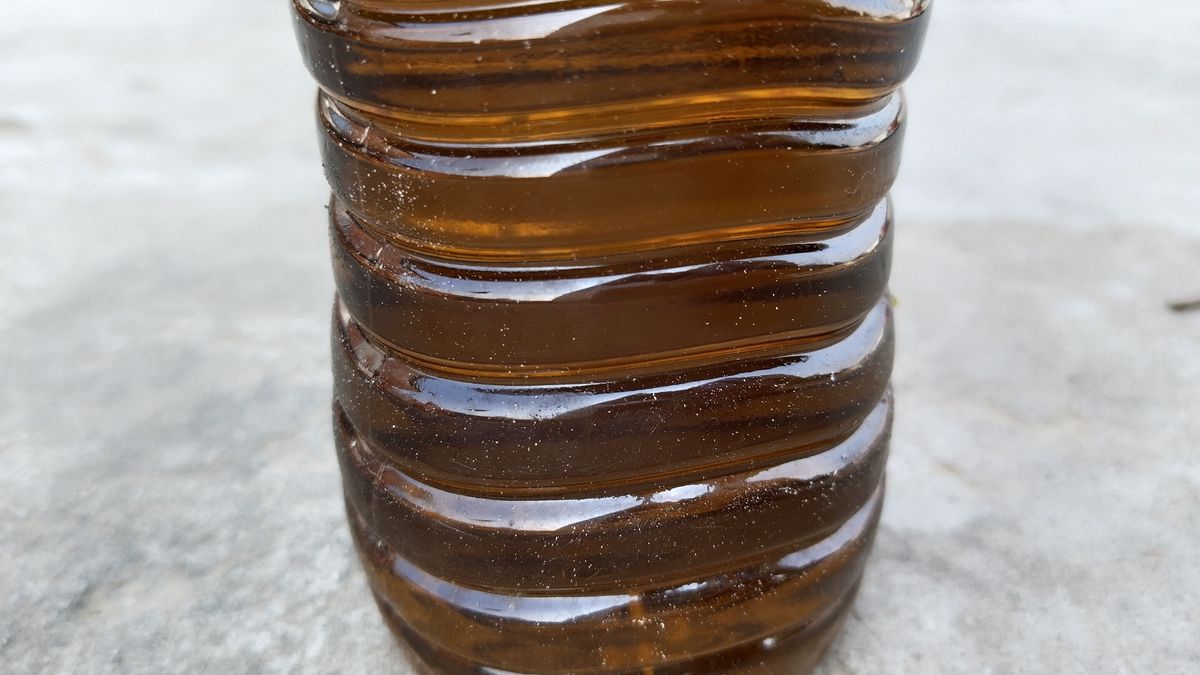 Jakie właściwości ma olej z dyni?