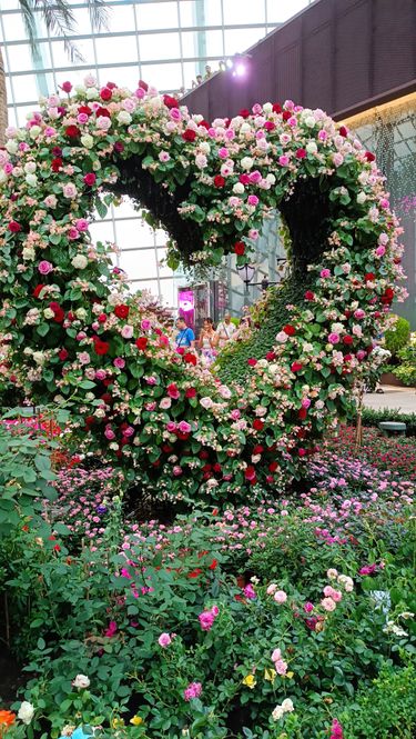 The Flower Dome is full of flowers.