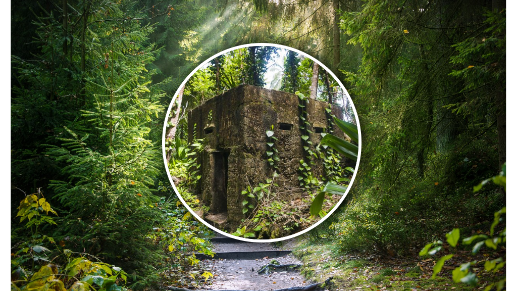 Tajemnicza forteca w rumuńskim lesie. /mat. poglądowy