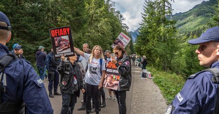 Morskie Oko: Gorąco na Palenicy Białczańskiej. Policja odgrodziła aktywistów