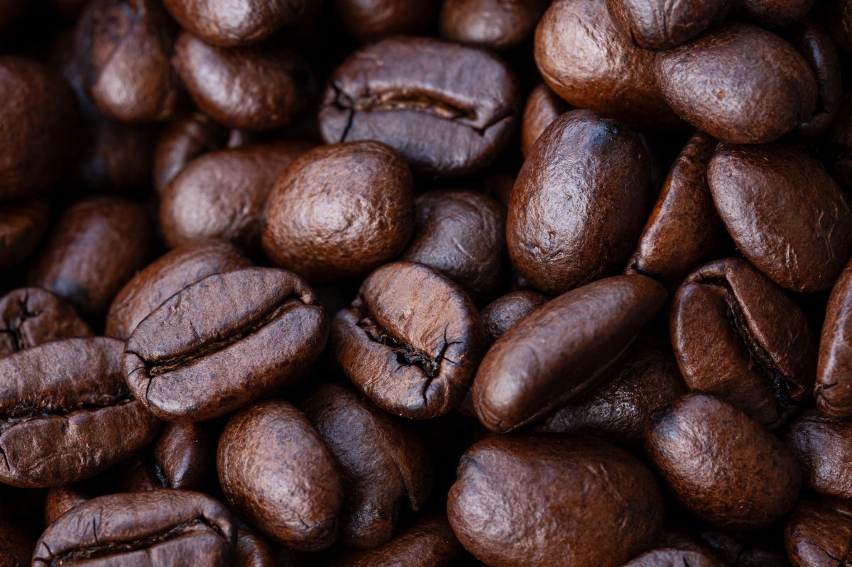 Kawa robusta najdroższa od 45 lat