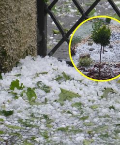 Superkomórka burzowa. Uderzył grad na Podkarpaciu