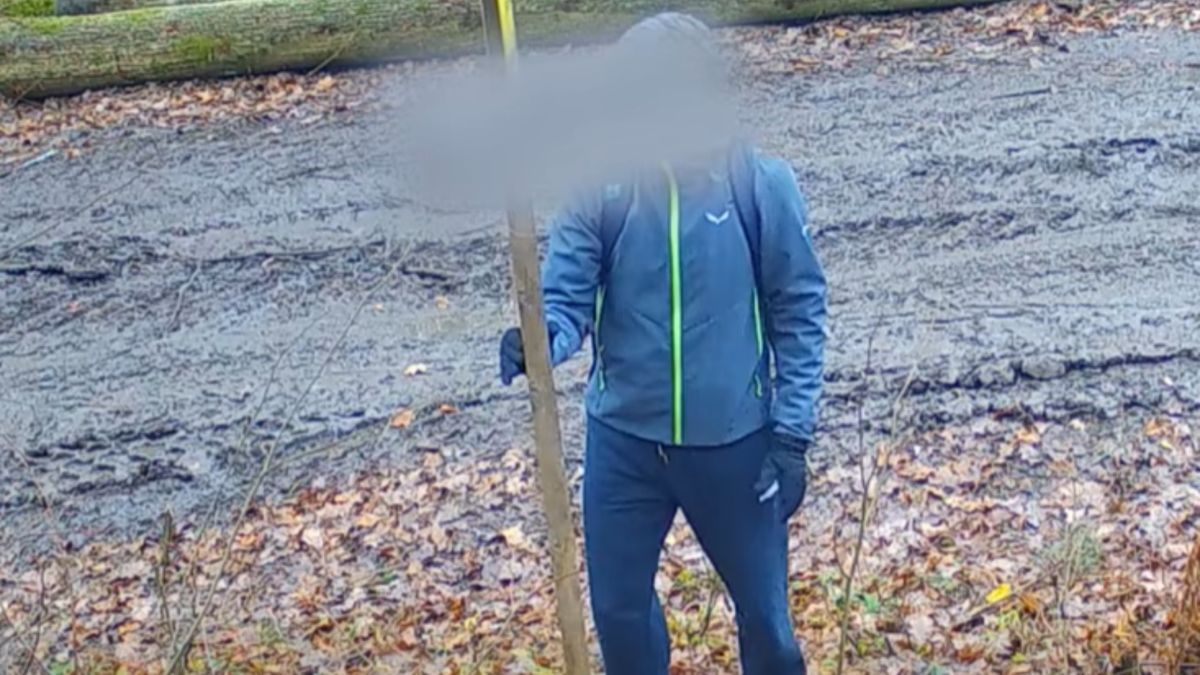 Aż brakuje słów na to, co zrobił w lesie.