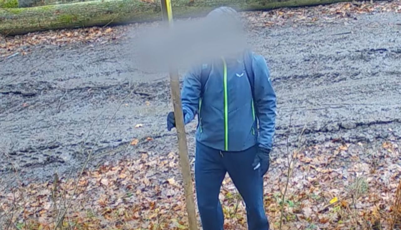 Leśnicy pokazali nagranie. Załamują ręce. "Trudno zrozumieć"
