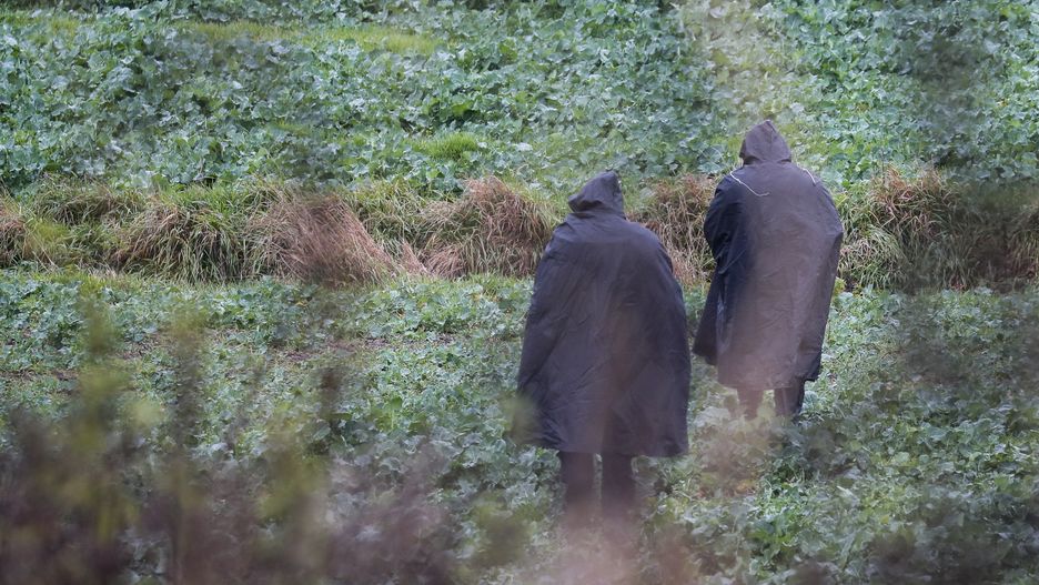 Wybuch w Przewodowie. Rzecznik Sił Powietrznych Ukrainy: robiliśmy wszystko, aby ochronić naszych obywateli 