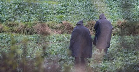 Wybuch w Przewodowie. Siły Powietrzne Ukrainy wydały komunikat