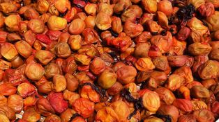 Fermentowany sekret Japonii. Korzystne dla jelit, serca i wątroby