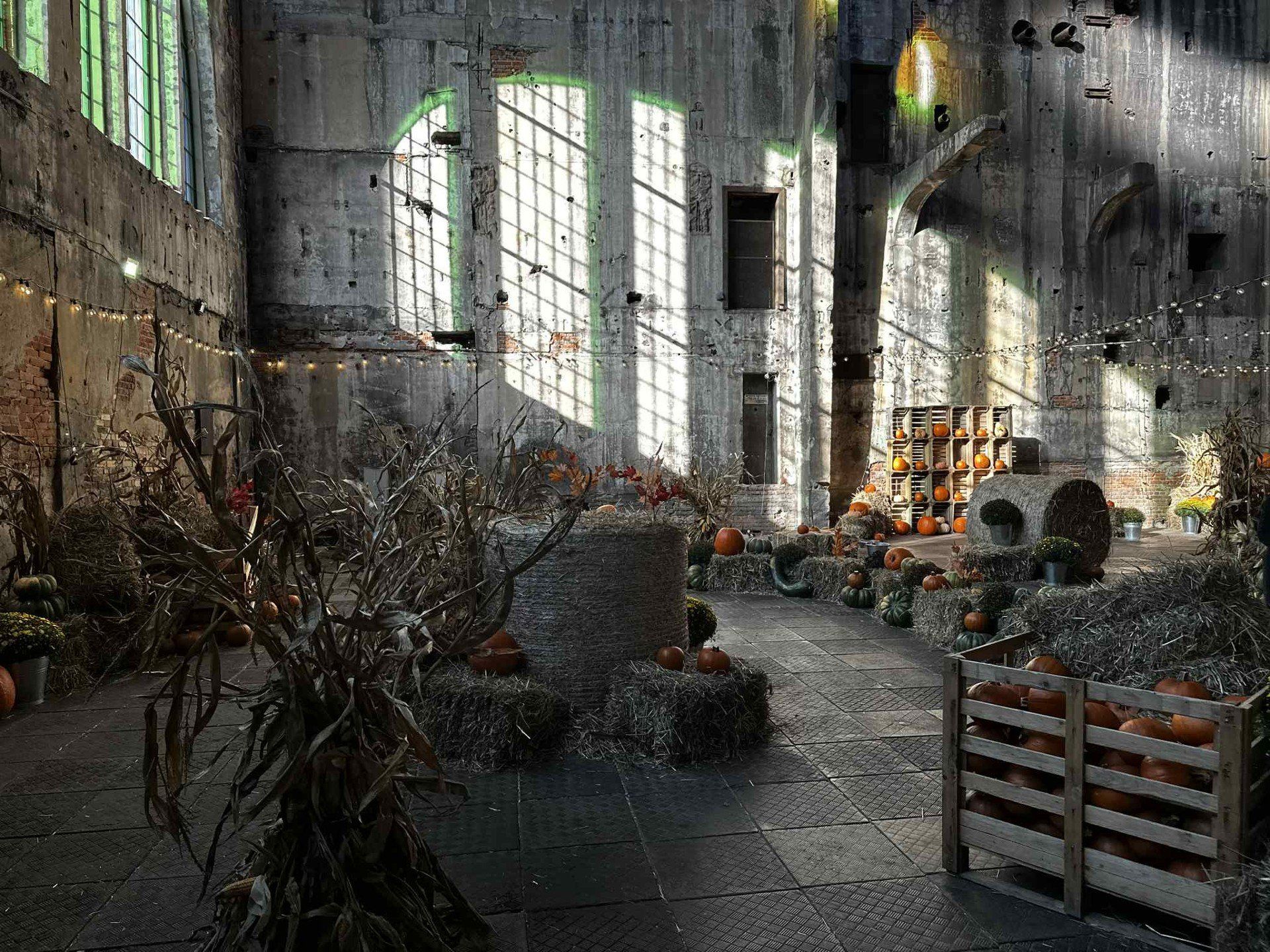 fuzja lodz, farma dyń, kotłownia