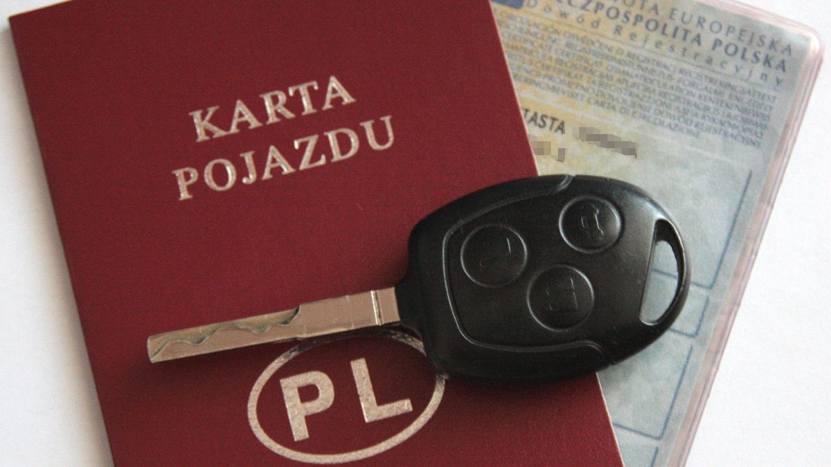 O nałożeniu kary decyduje zwykle zapominalstwo lub niedbałość i brak znajomości prawa