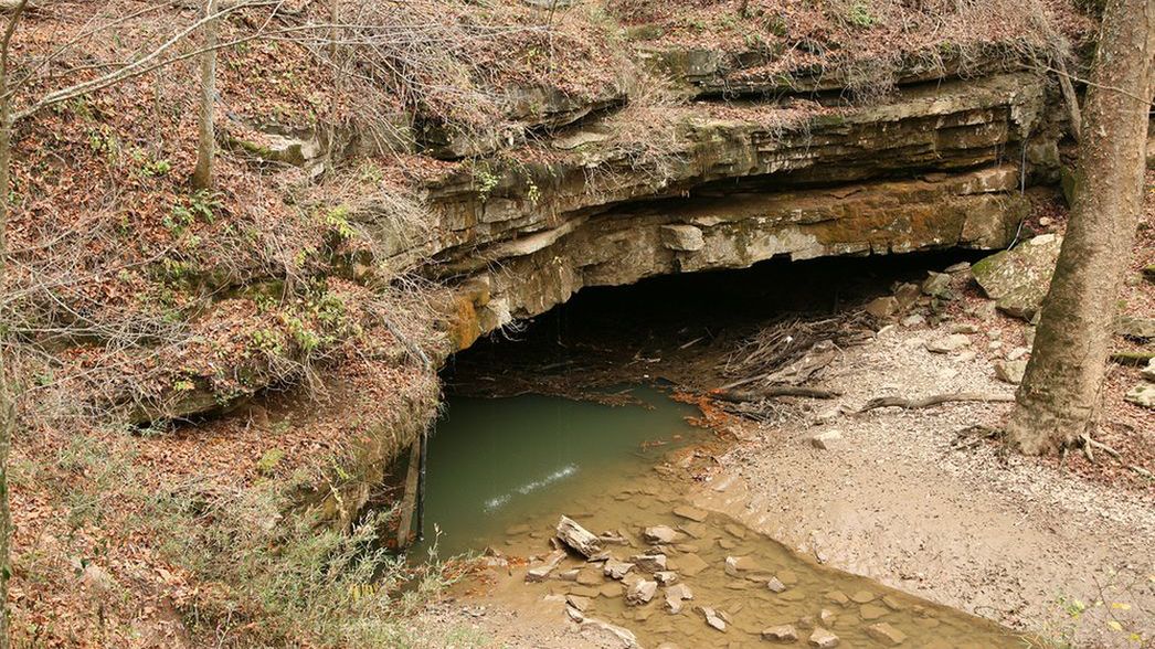Jaskinia Mamucia jest najdłuższą na świecie