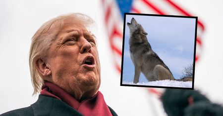 "W sprzeczności z nauką". Kontrowersyjna decyzja administracji Trumpa