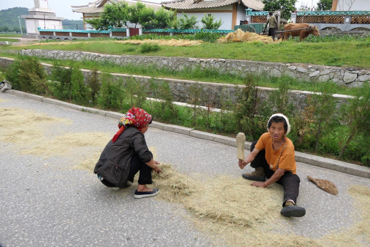 Rolnicy w Korei Północnej muszę oddać zapasy miastom