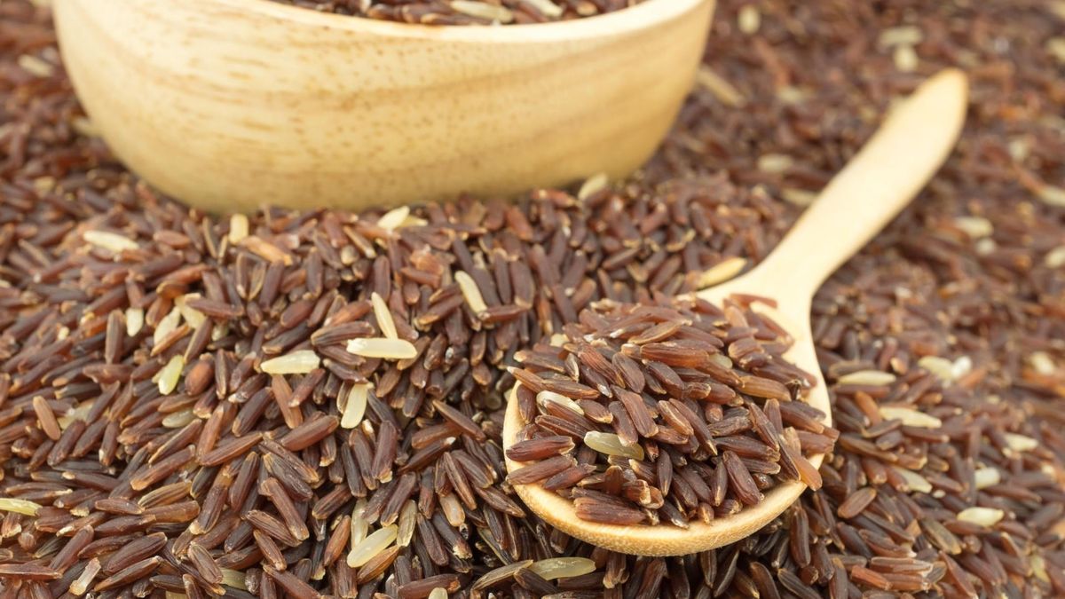 Kiełkujący ryż to bogactwo wielu składników odżywczych