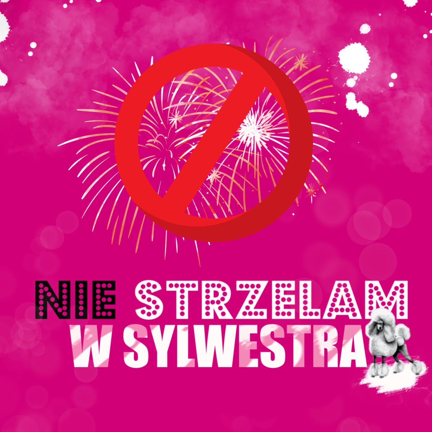 Nie strzelam w Sylwestra