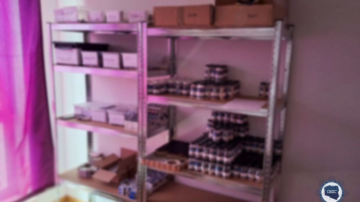 Mieli handlować podrabianymi lekami w sieci