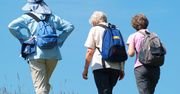 Seniorzy z Klubu Wsparcia Senior Plus we Włoszczowie odwiedzili słynną plantację Świętokrzyskie Tulipany w Jadwigowie.