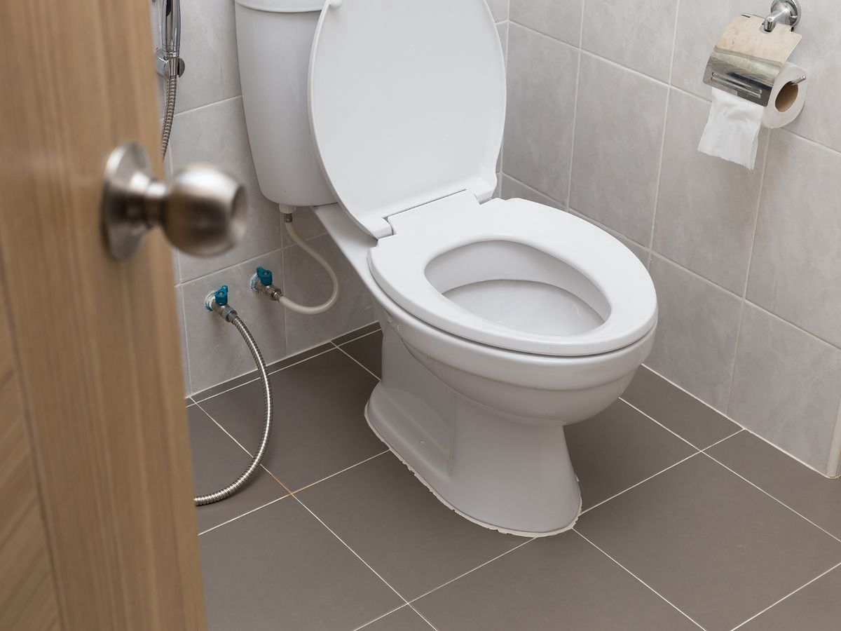 Could western toilet design contribute to constipation? A Harvard gastroenterologist weighs in